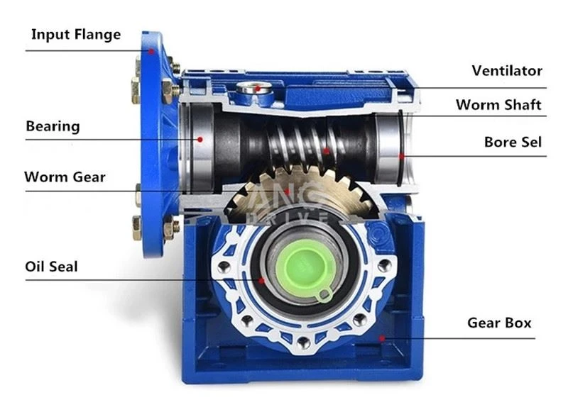 Worm Gear Reducer structure