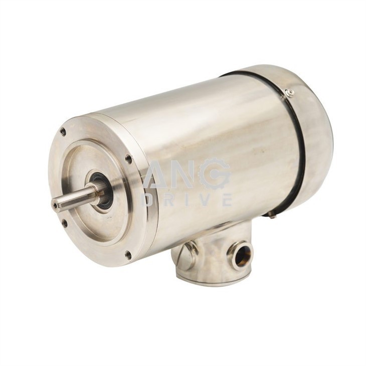 Stainless Steel Geared Motor