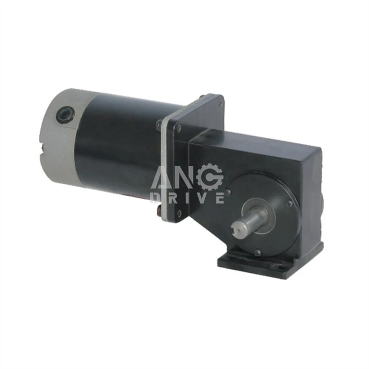 Brushless DC gear motor