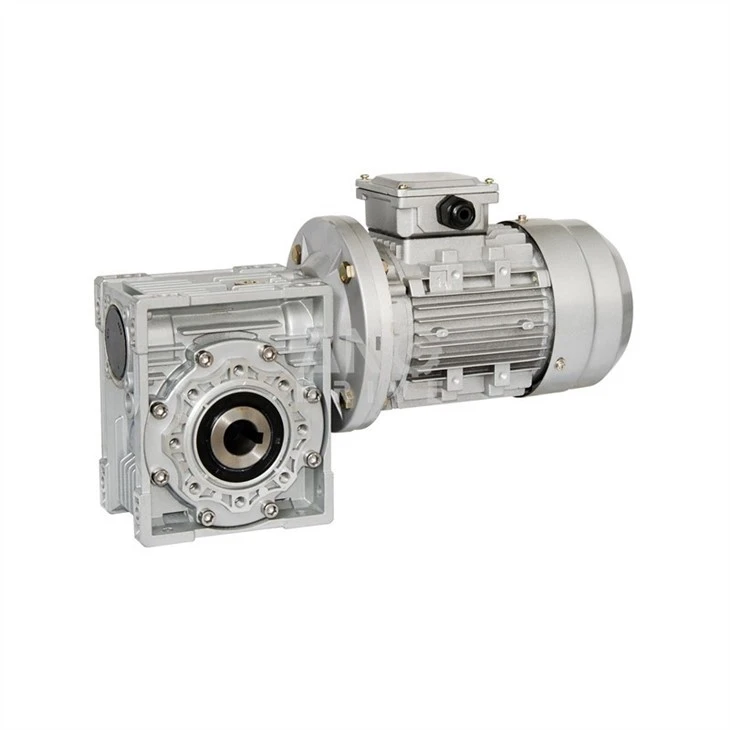 crane gear motor