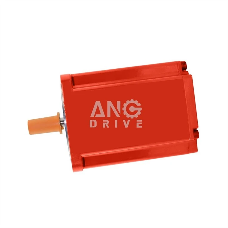 Electric Bldc Motor