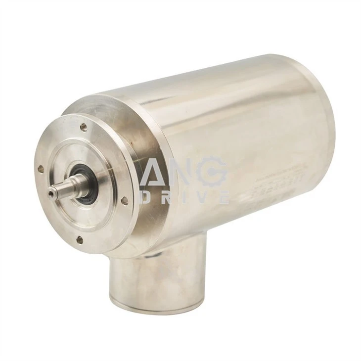 IP69K SUS304 Мотор